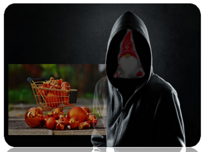 Fakes und Fallen im Internet – Workshop fake und Fallen beim Online Weihnachtseinkauf